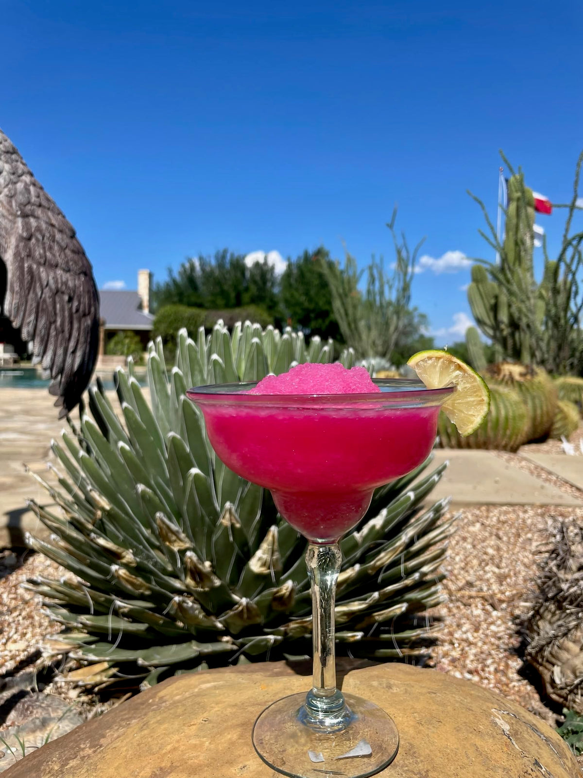 Brushfire Farms Prickly Pear Simple Syrup — 40 Fl Oz, Handpicked Texas Prickly Pear