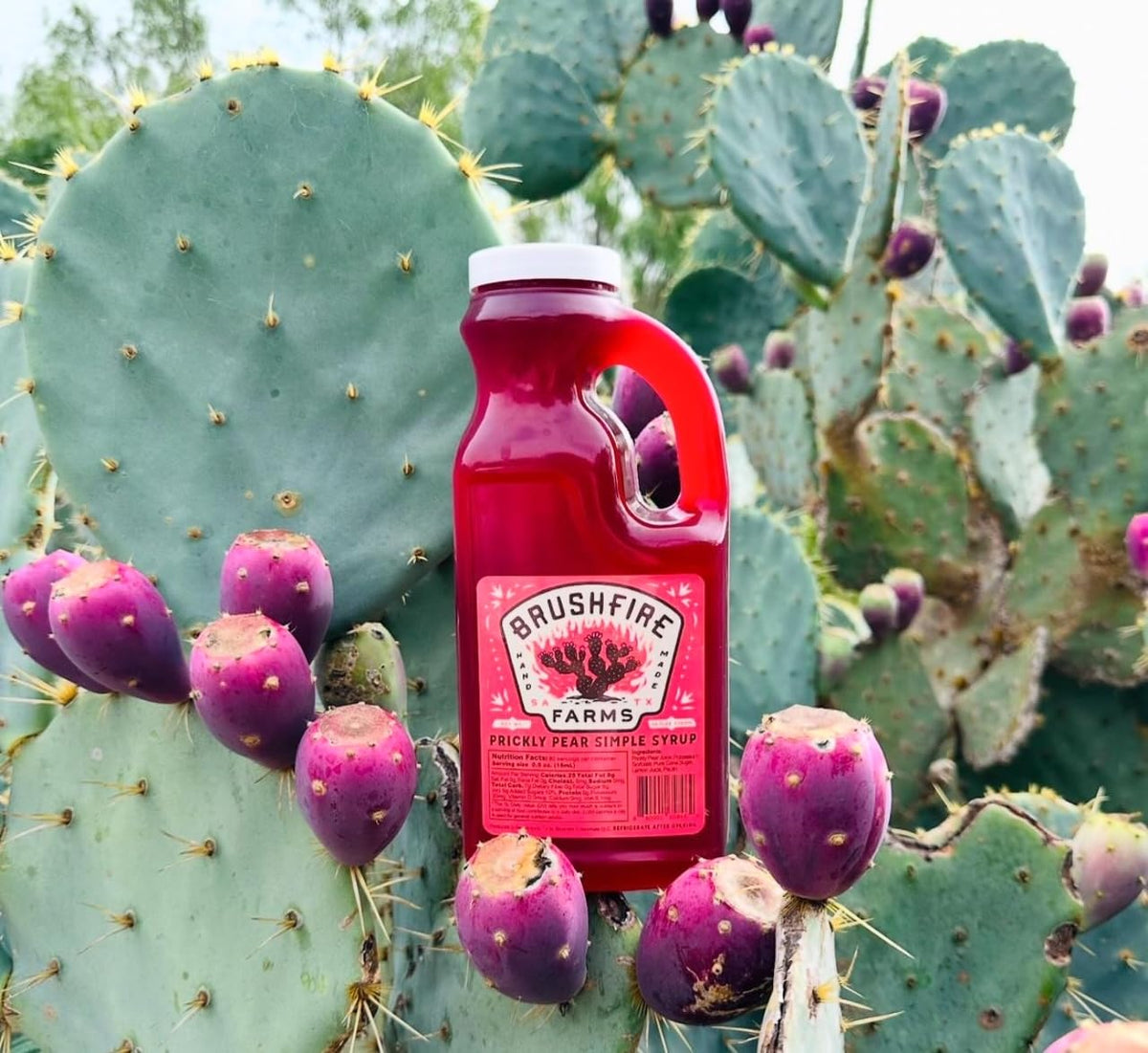 Brushfire Farms Prickly Pear Simple Syrup — 40 Fl Oz, Handpicked Texas Prickly Pear