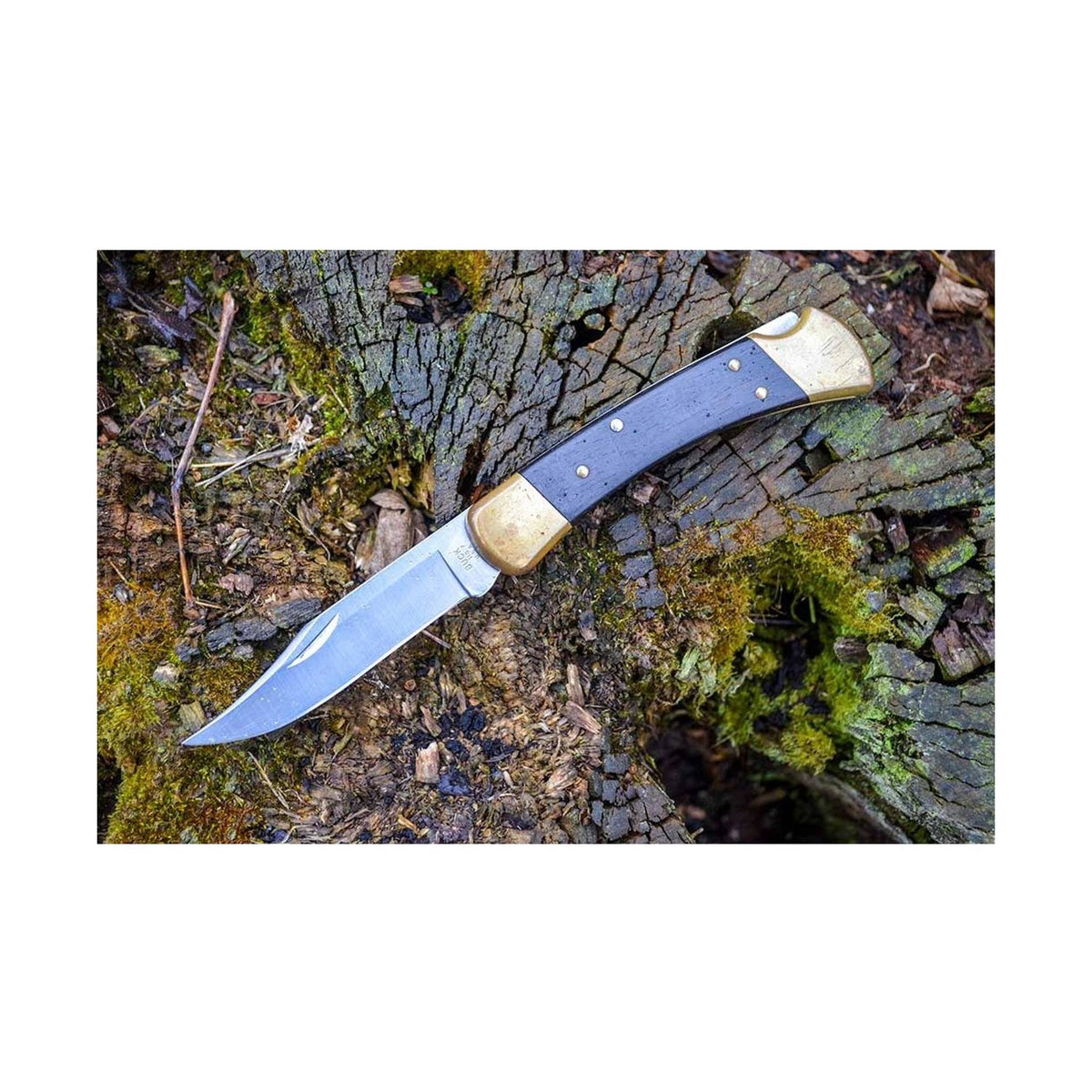 Buck Folding Hunter