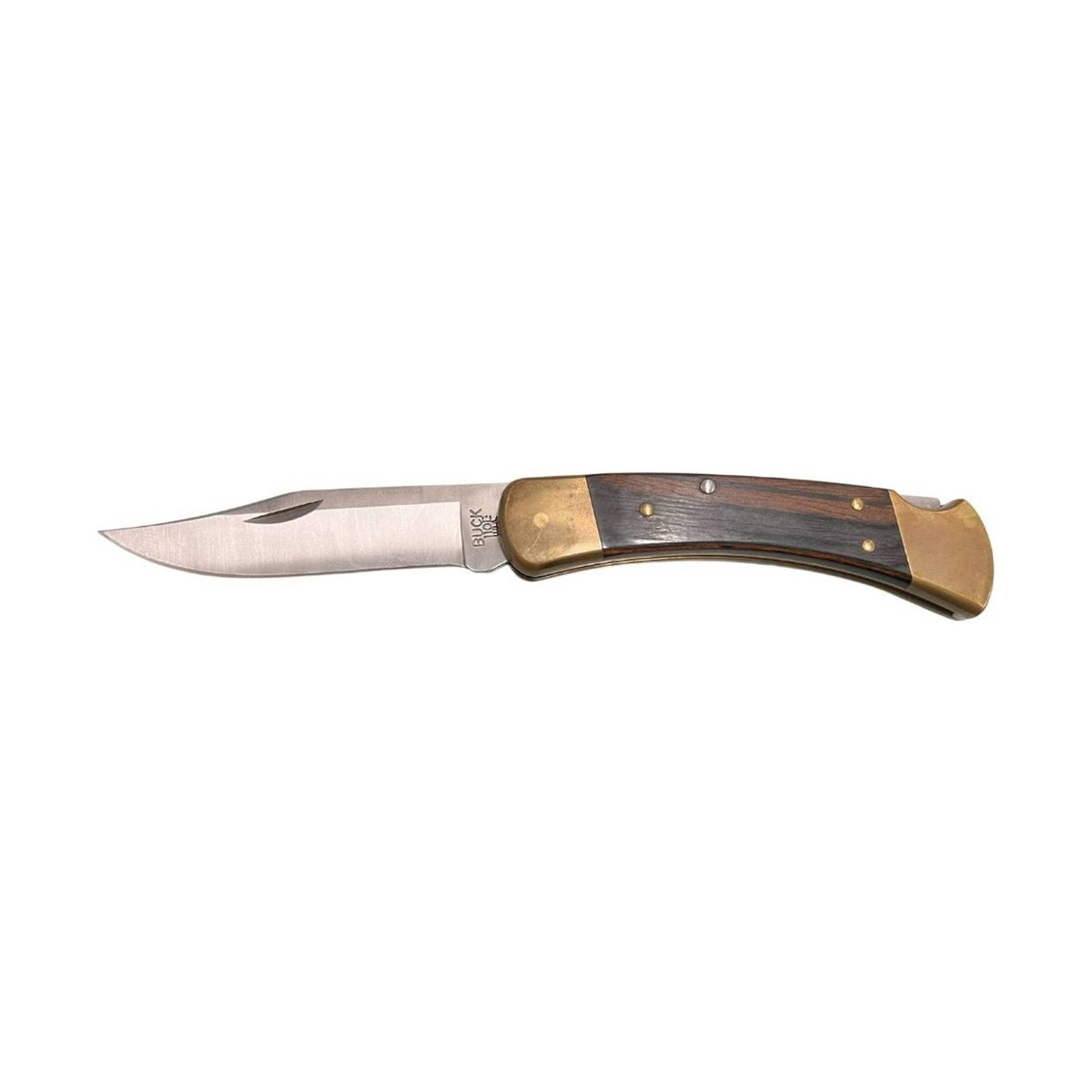 Buck Folding Hunter