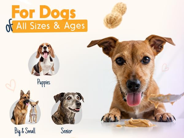 BUDDY BUDDER Dog Peanut Butter — 9 Pack Mixed Flavors, 4oz Pouches, Made in USA