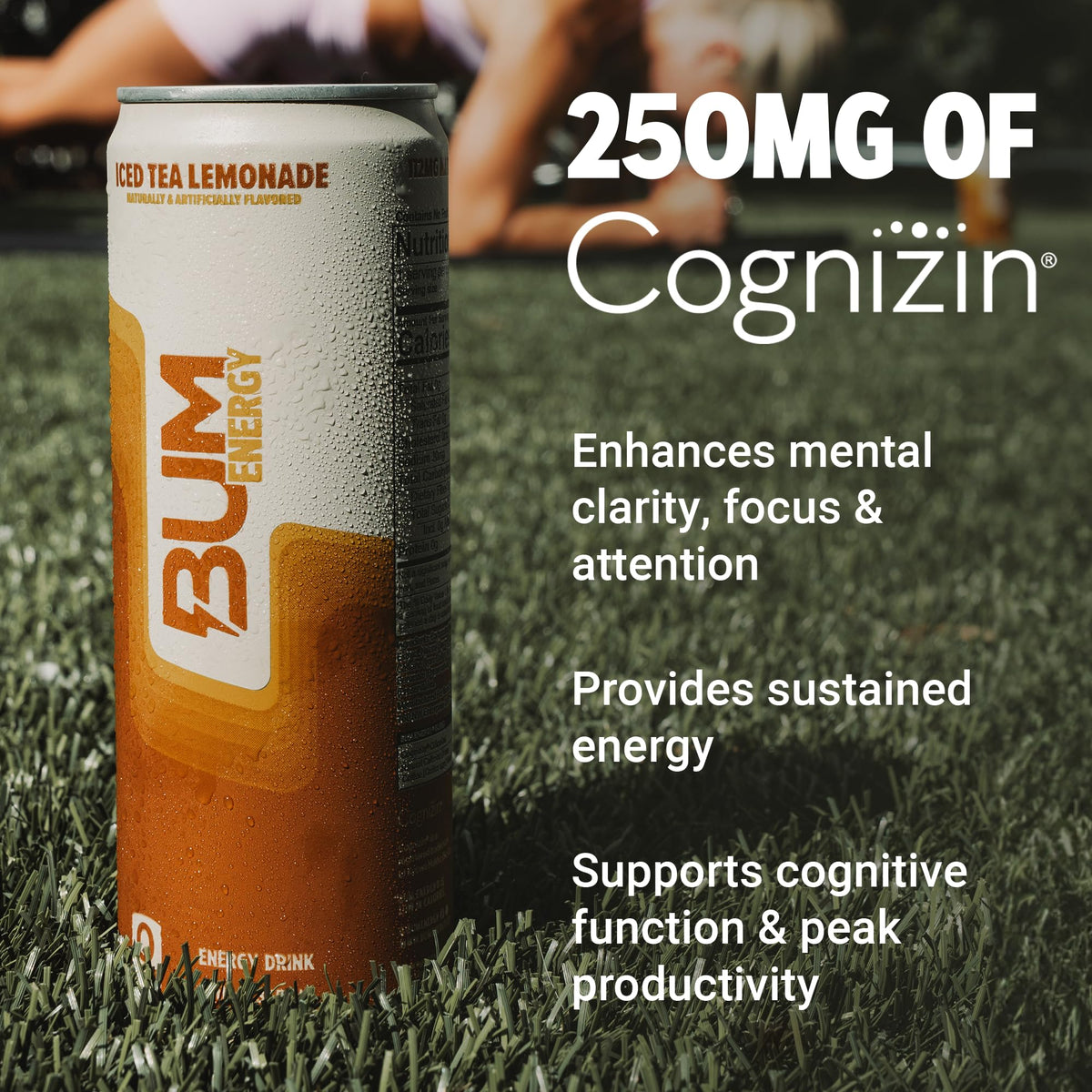 BUM Sugar-Free Energy Drink Iced Tea Lemonade – Natural Caffeine & Cognizin for Focus | 12 oz Can, Pack of 12