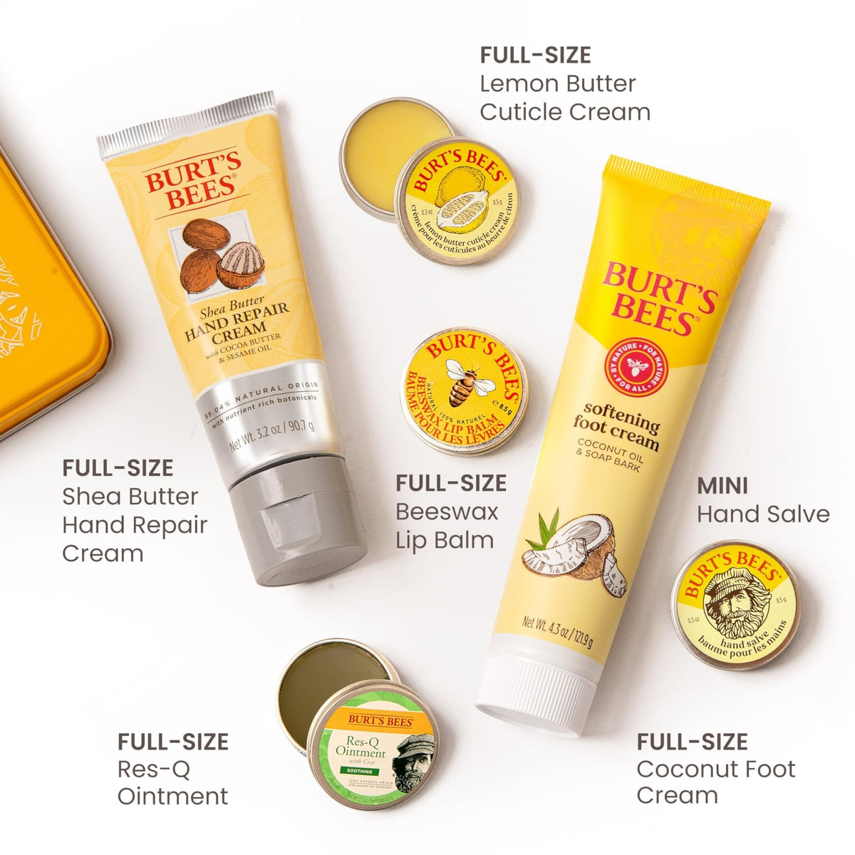Burt's Bees Classics Gift Set, 6 Products in Giftable Tin