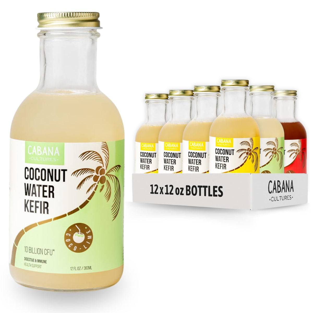 Cabana Cultures Probiotic Coconut Water Kefir – Gut Health, Hydration & Immunity Support | Variety Pack (12-Pack)
