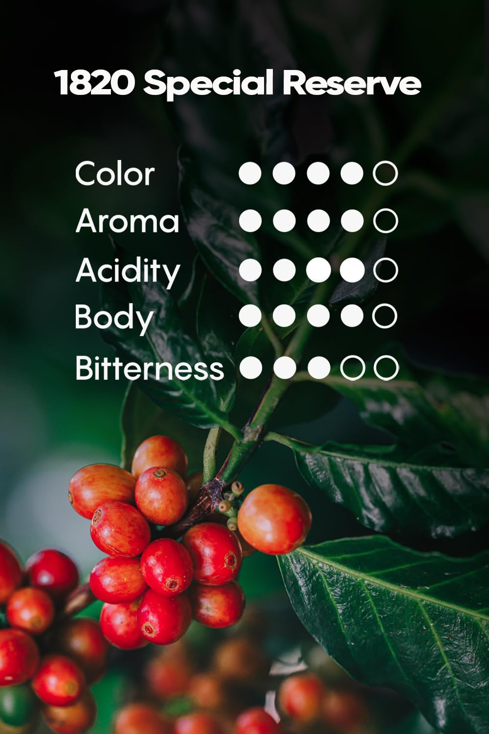 Café 1820 Special Reserve – Premium Costa Rican Arabica, High Altitude, 12 oz (2 Pack)