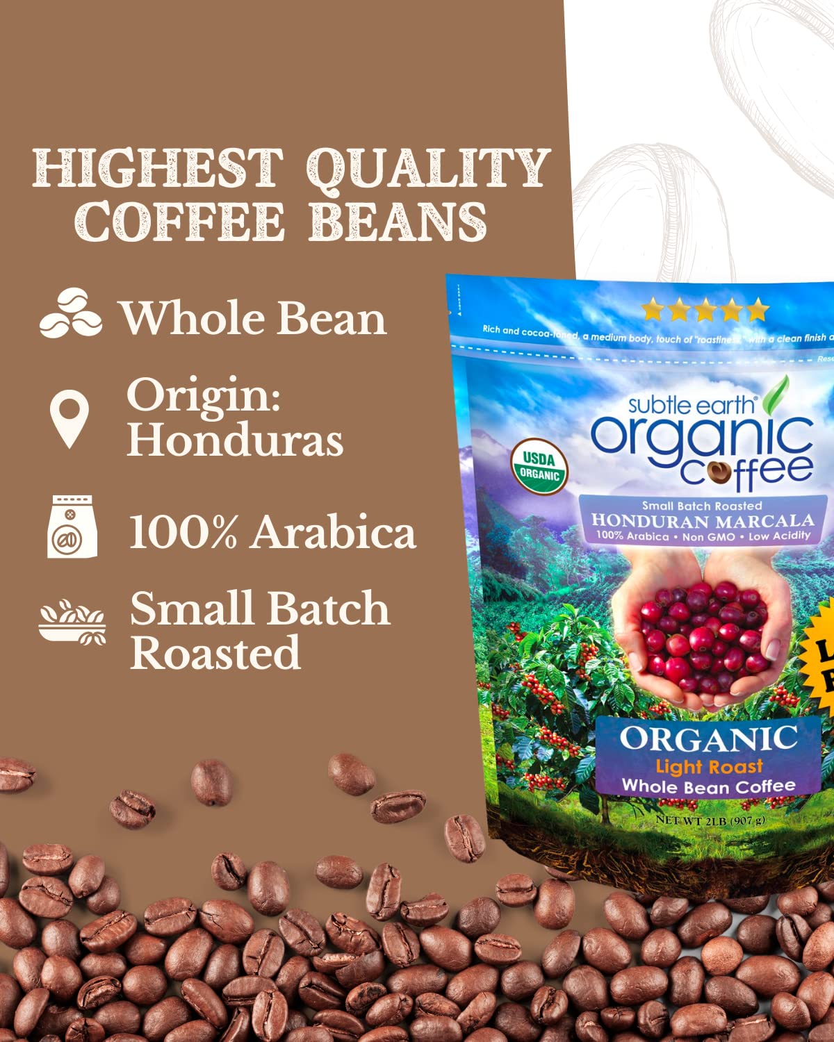 Cafe Don Pablo Subtle Earth Organic Coffee - Light Roast, 2 lb Whole Bean, 100% Arabica