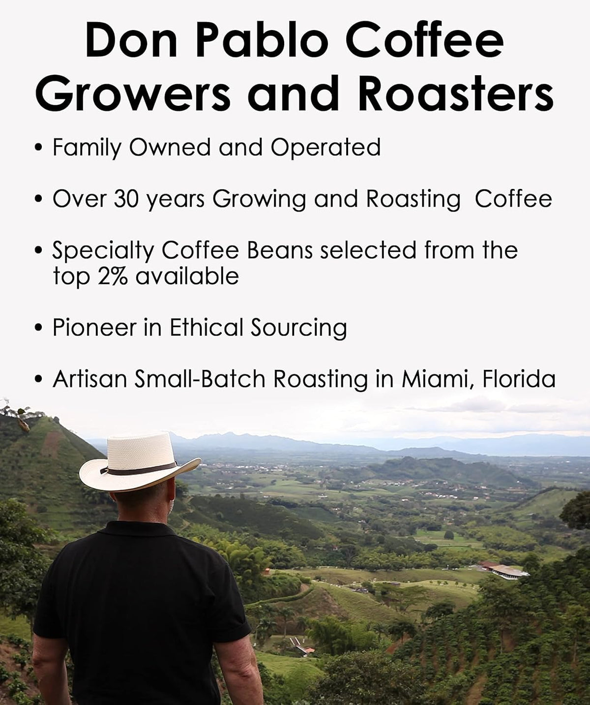 Cafe Don Pablo Brazil Cerrado — 5 lb Whole Bean Coffee, Medium Dark Roast, 100% Arabica