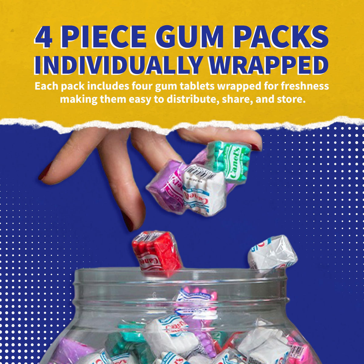 Canel's 4-Piece Gum Pack Jar in Original Flavors – 300 Count