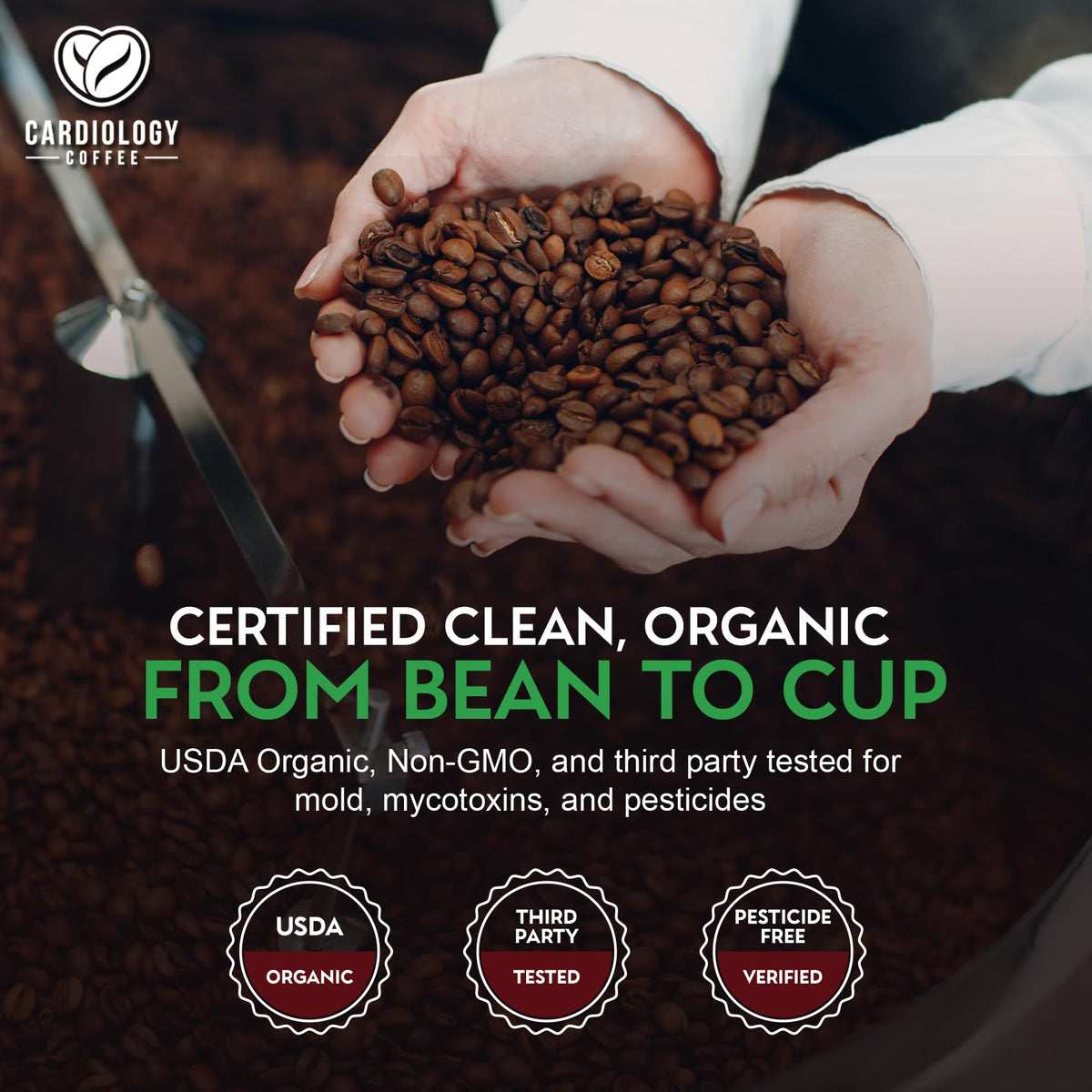 Cardiology Coffee Decaf Beans – USDA Organic, Mold-Free, 12oz Whole Beans | Swiss Water