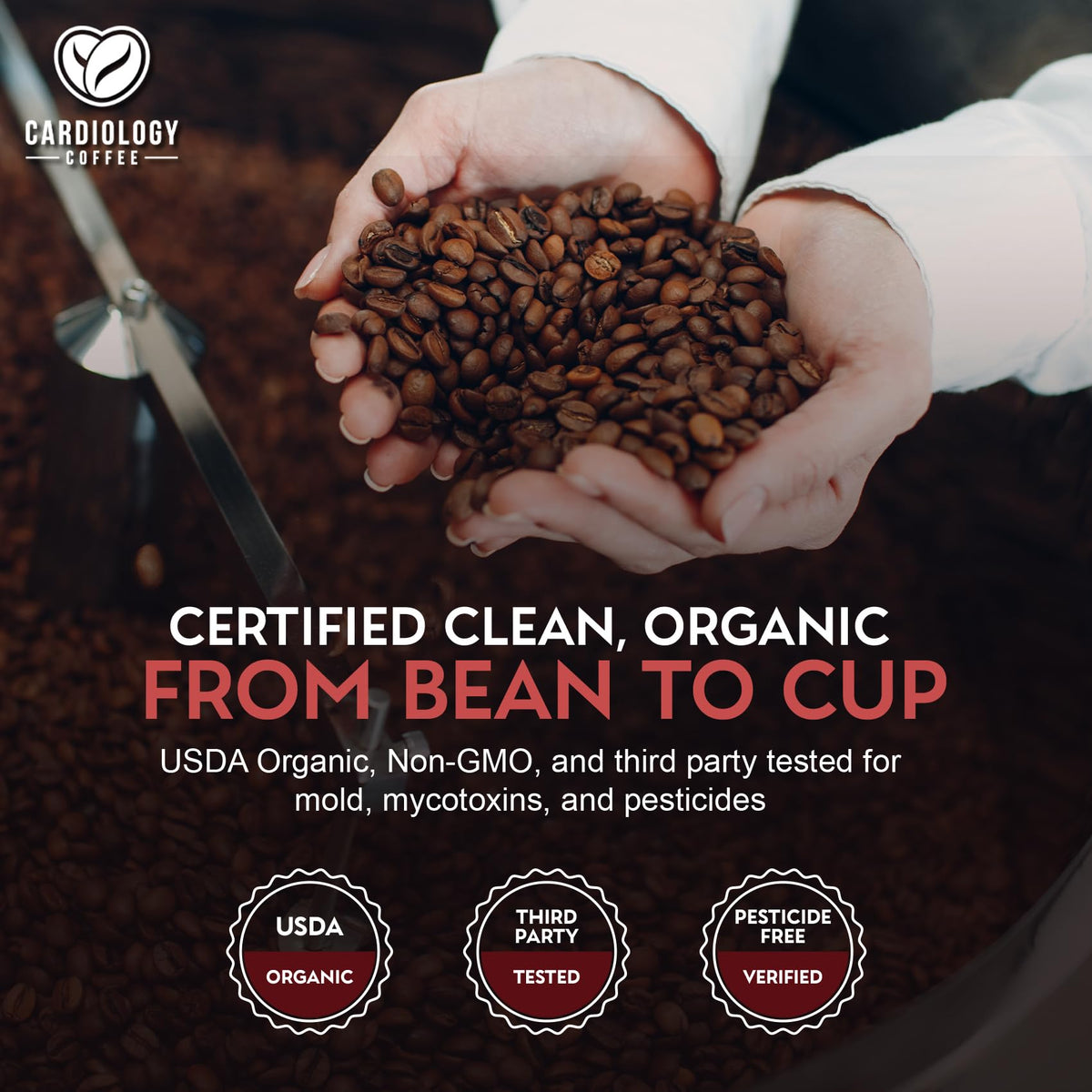Cardiology Coffee – Organic Mold-Free Whole Bean Dark Roast 12oz | Heart-Healthy & Antioxidant-Rich