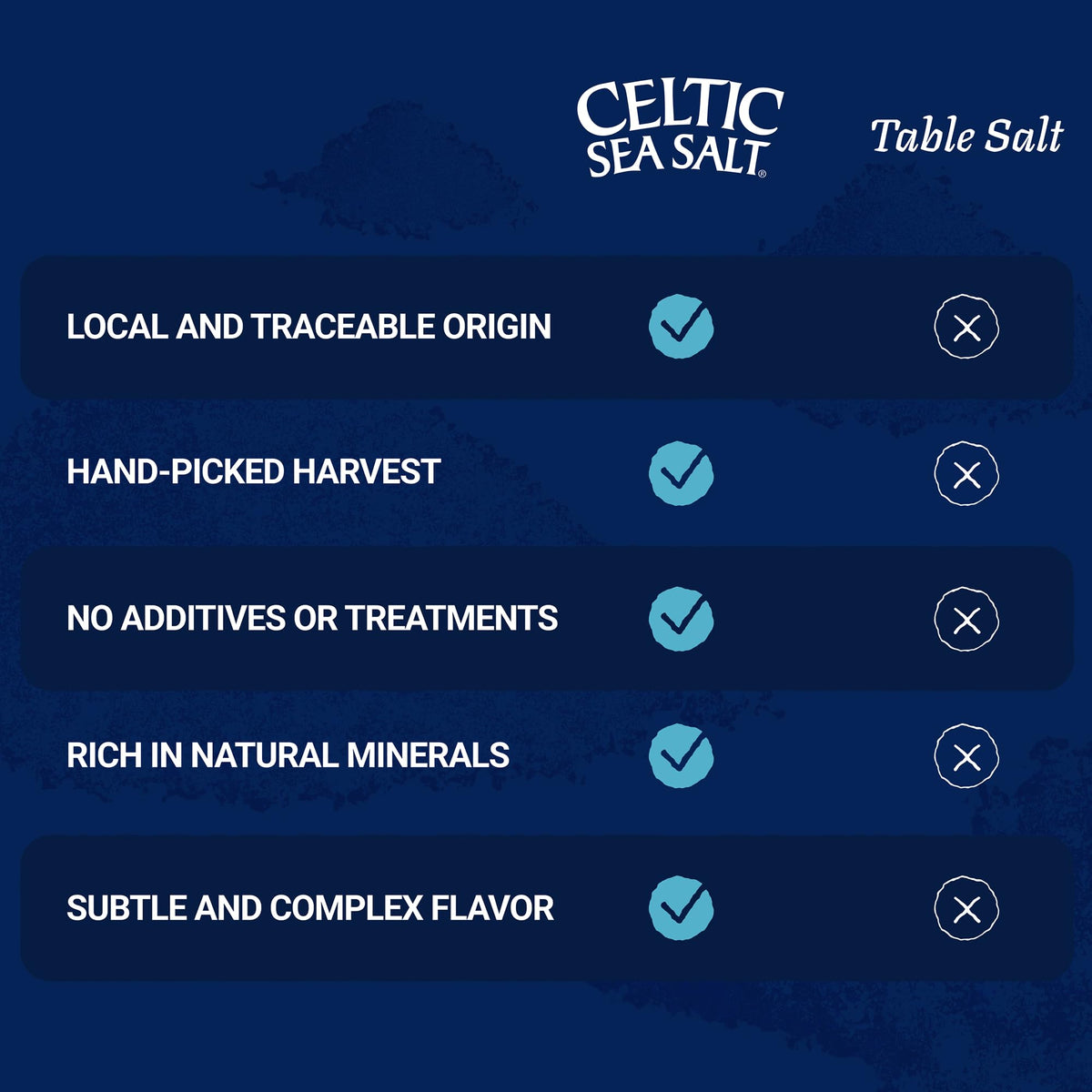Celtic Sea Salt Fine Ground – Unrefined Mineral Salt, 2 Pack (1 lb Each) | GMP Certified