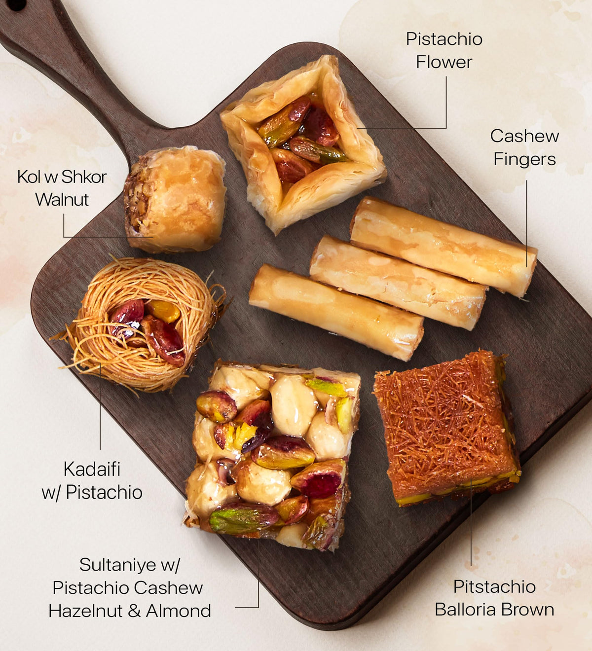 Cerez Pazari Baklava Gift Set – Turkish Nut & Spice Pastry Gift Box, 45–48 Pieces, 1.32 lb