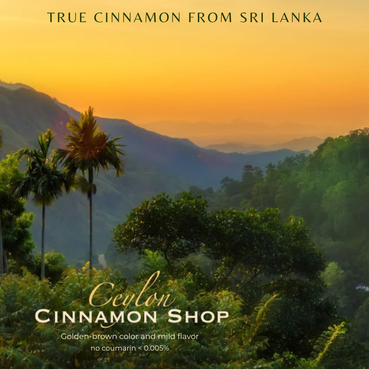 Ceylon Cinnamon Shop Organic Ceylon Cinnamon Powder - 8 oz, 100% Certified
