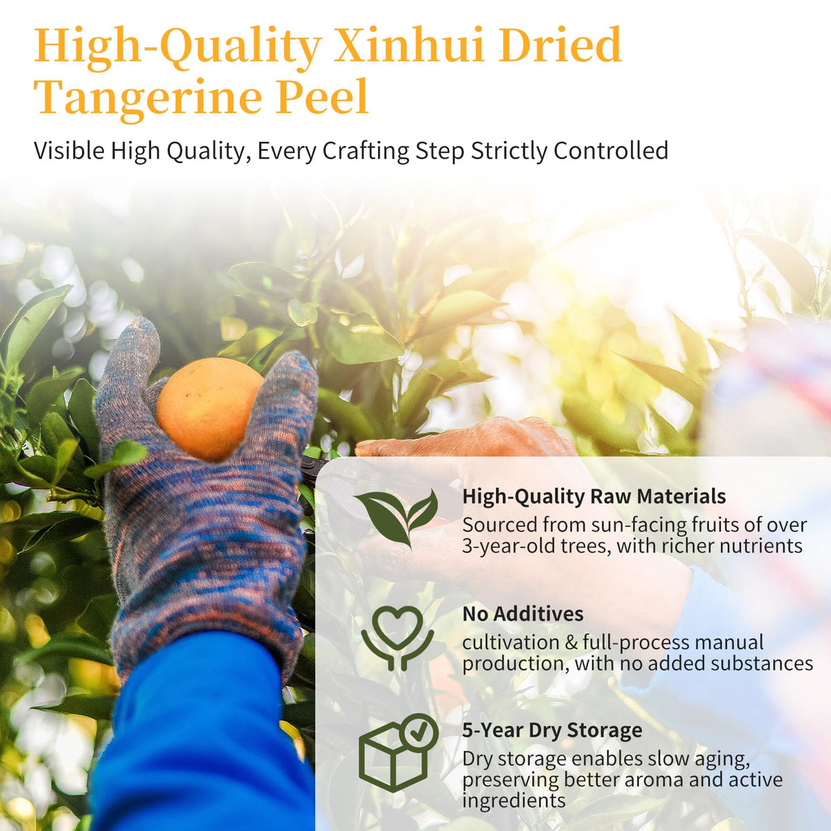 CHADUO Dried Tangerine Peel Tea – 5-Year Aged Xinhui Chen Pi, 70g