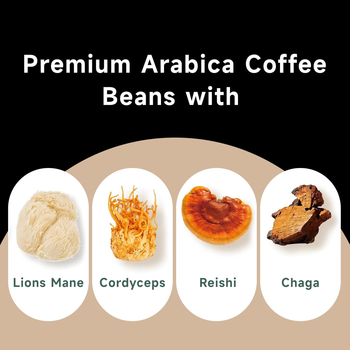Chaism Mushroom Coffee Pods – Arabic Coffee with Lions Mane, Cordyceps, Reishi & Chaga (Sugar-Free)