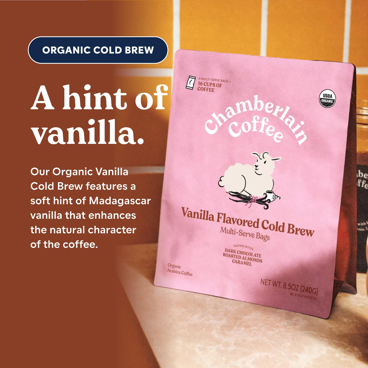 Chamberlain Coffee Organic Vanilla Cold Brew Bags | Premeasured & Ready to Brew | Makes 4 Cups per Bag | 8.5 oz