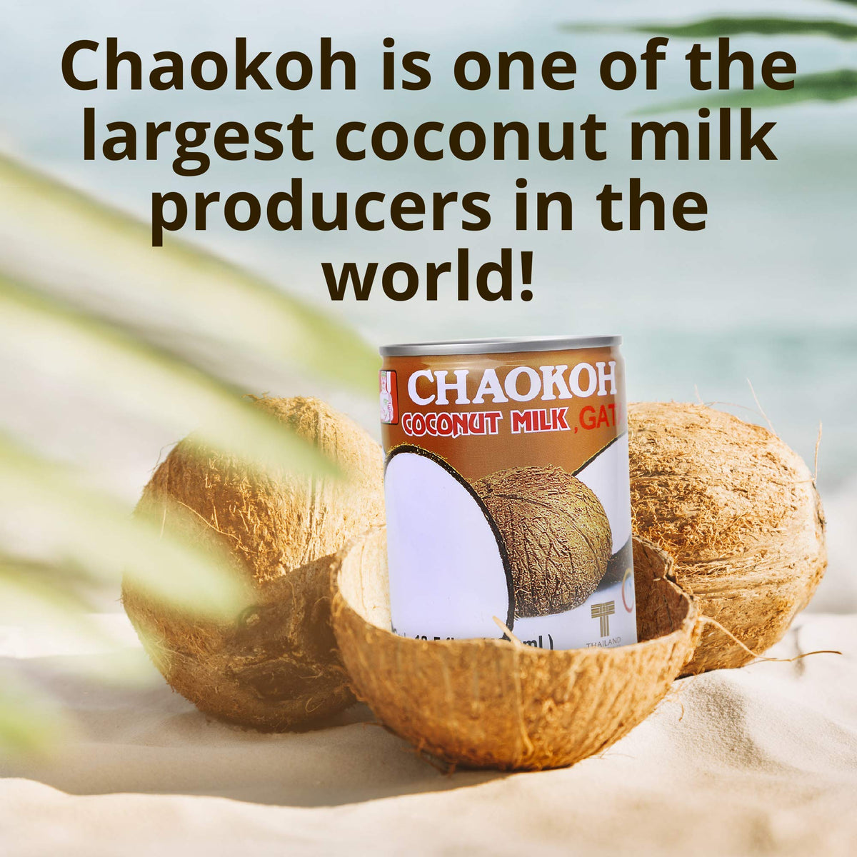 Chaokoh Unsweetened Coconut Milk 6-Pack | Premium Thai Coconut Milk, Dairy-Free & Vegan