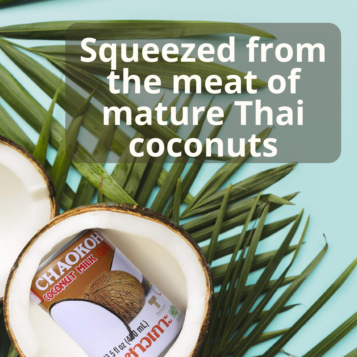 Chaokoh Unsweetened Coconut Milk 6-Pack | Premium Thai Coconut Milk, Dairy-Free & Vegan