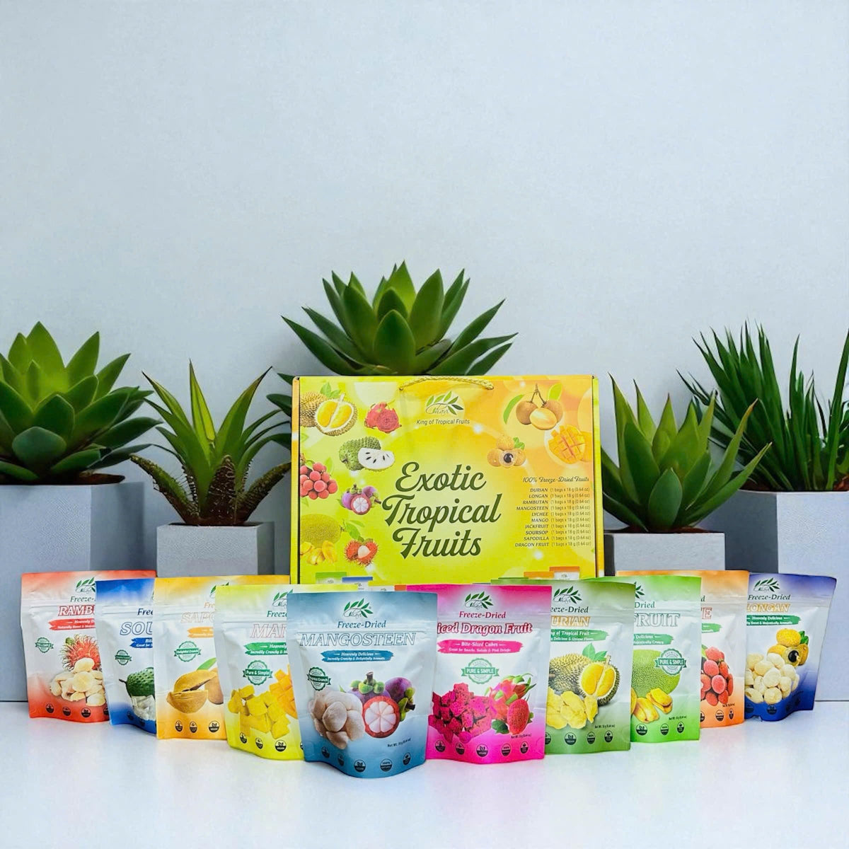 CHAVI Freeze-Dried Exotic Tropical Fruits Gift Box (Pack of 10) – No Additives, Non-GMO, Vegan, Gluten-Free | 180 g