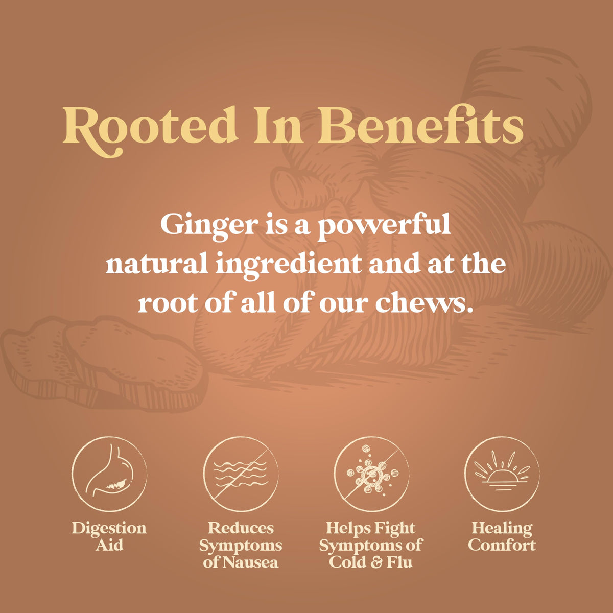 Chimes Ginger Chews 2LB Variety Pack – Original, Orange, Mango, Peppermint, Peanut Butter, Meyer Lemon
