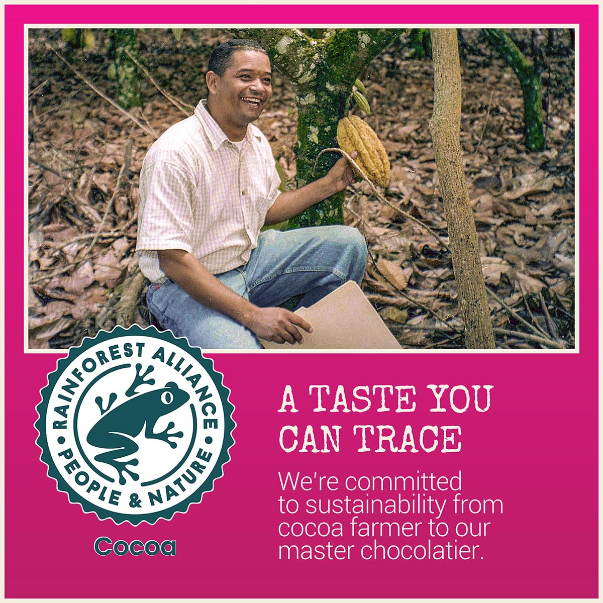 Chocolove Raspberries Dark Chocolate Bars – 55% Cocoa, 12-Pack Non-GMO