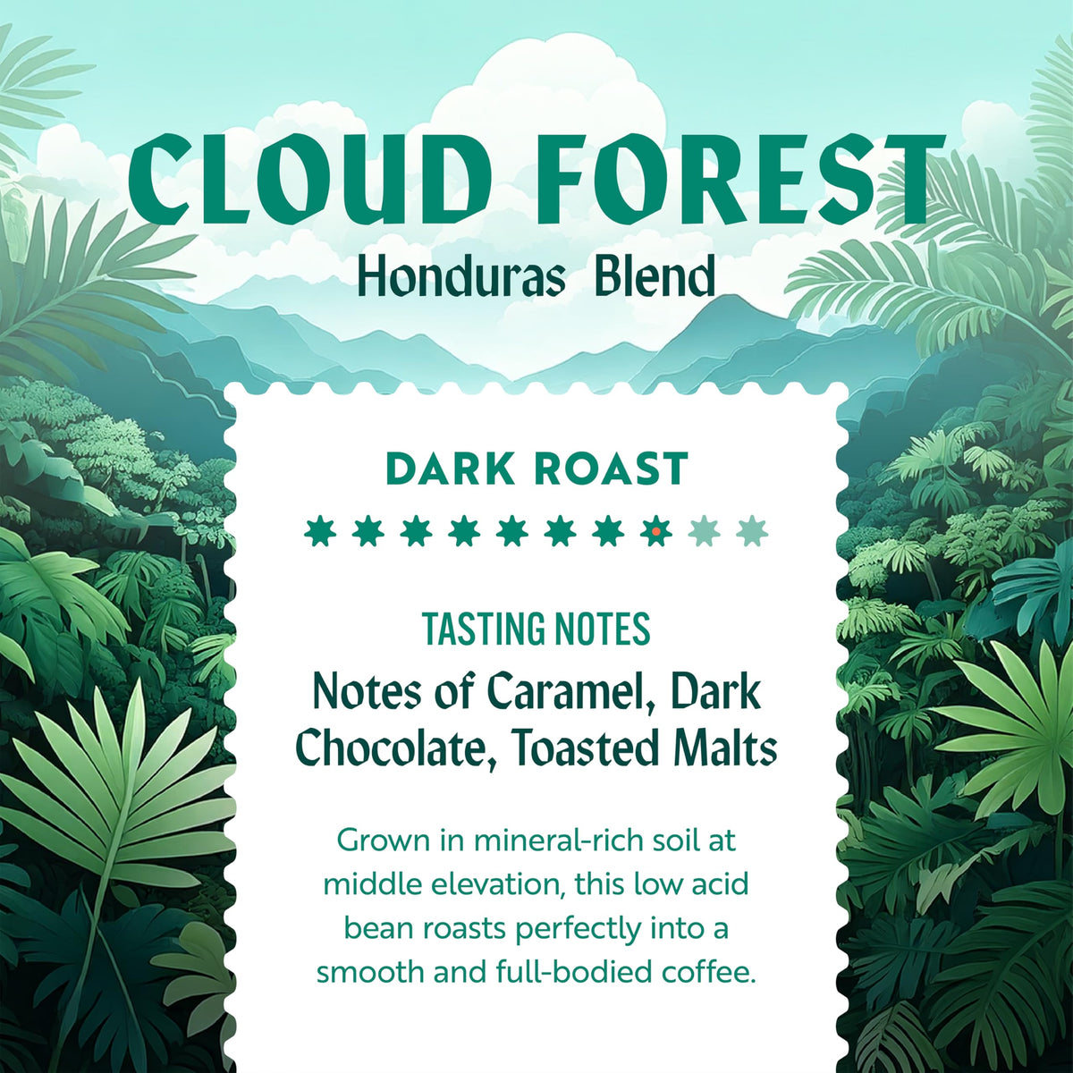 Clean Coffee Co. Low Acid Dark Roast Honduras – Mold & Toxin Tested, Caramel & Dark Chocolate Notes (12 oz Whole Bean)
