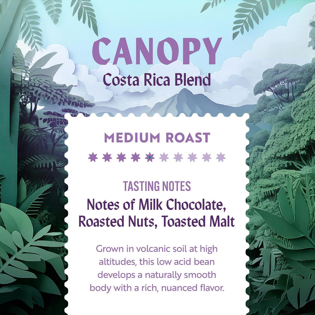 Clean Coffee Co. Costa Rica Blend — Low Acid Medium Roast, Mold & Toxin Tested, Milk Chocolate, Roasted Nuts, Toasted Malt