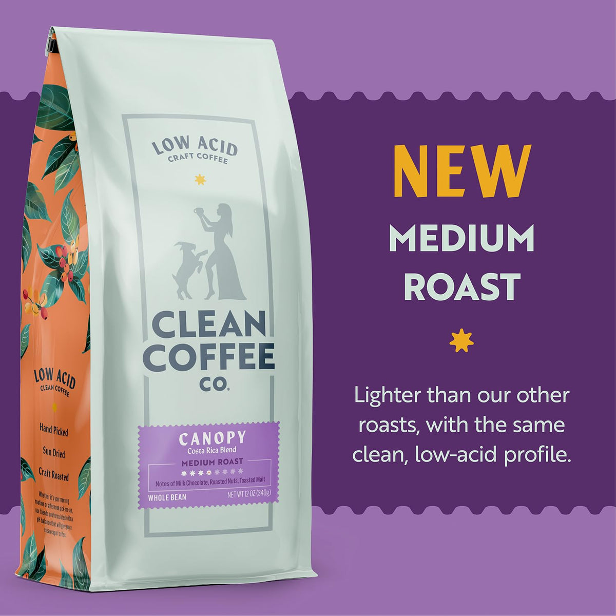 Clean Coffee Co. Costa Rica Blend — Low Acid Medium Roast, Mold & Toxin Tested, Milk Chocolate, Roasted Nuts, Toasted Malt