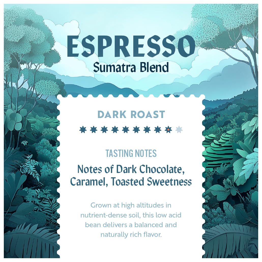 Clean Coffee Co. Low Acid Espresso Roast – Sumatra Blend, Mold & Toxin Tested, Dark Chocolate & Caramel Notes, 12 oz Whole Bean