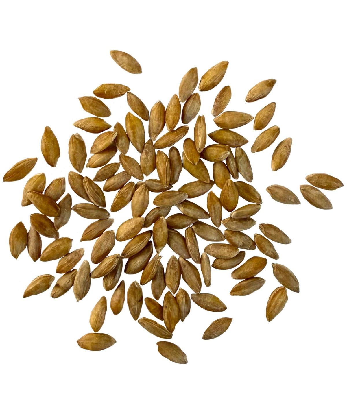 CLEAR CREEK Glyphosate Residue Free Einkorn Wheat Berries – 4 lb | Non-GMO Project Verified
