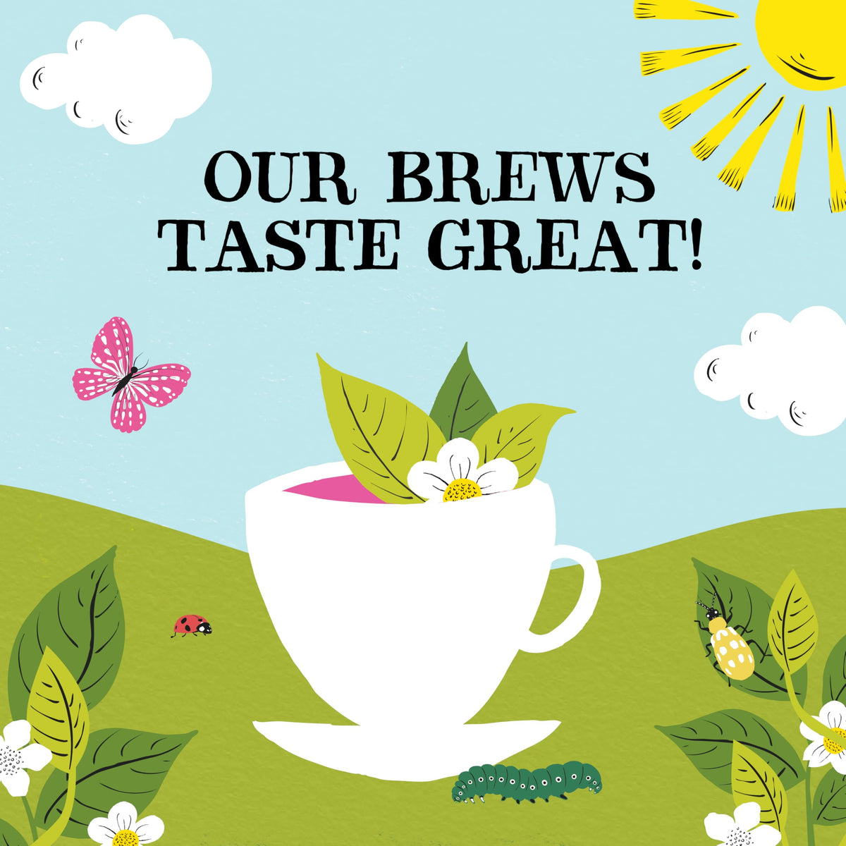Clipper Tea Gift Box — Organic Herbal & Green Tea Sampler in 5 Flavors
