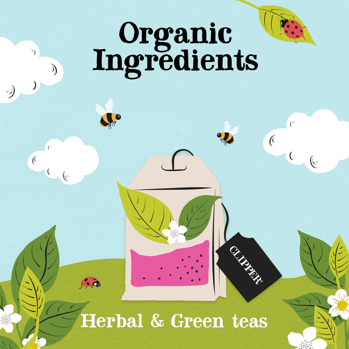 Clipper Tea Gift Box — Organic Herbal & Green Tea Sampler in 5 Flavors