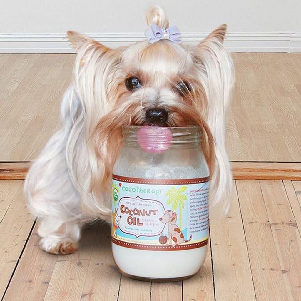 Cocotherapy Organic Virgin Coconut Oil for Pets – 16 oz, Pure & Cold-Pressed