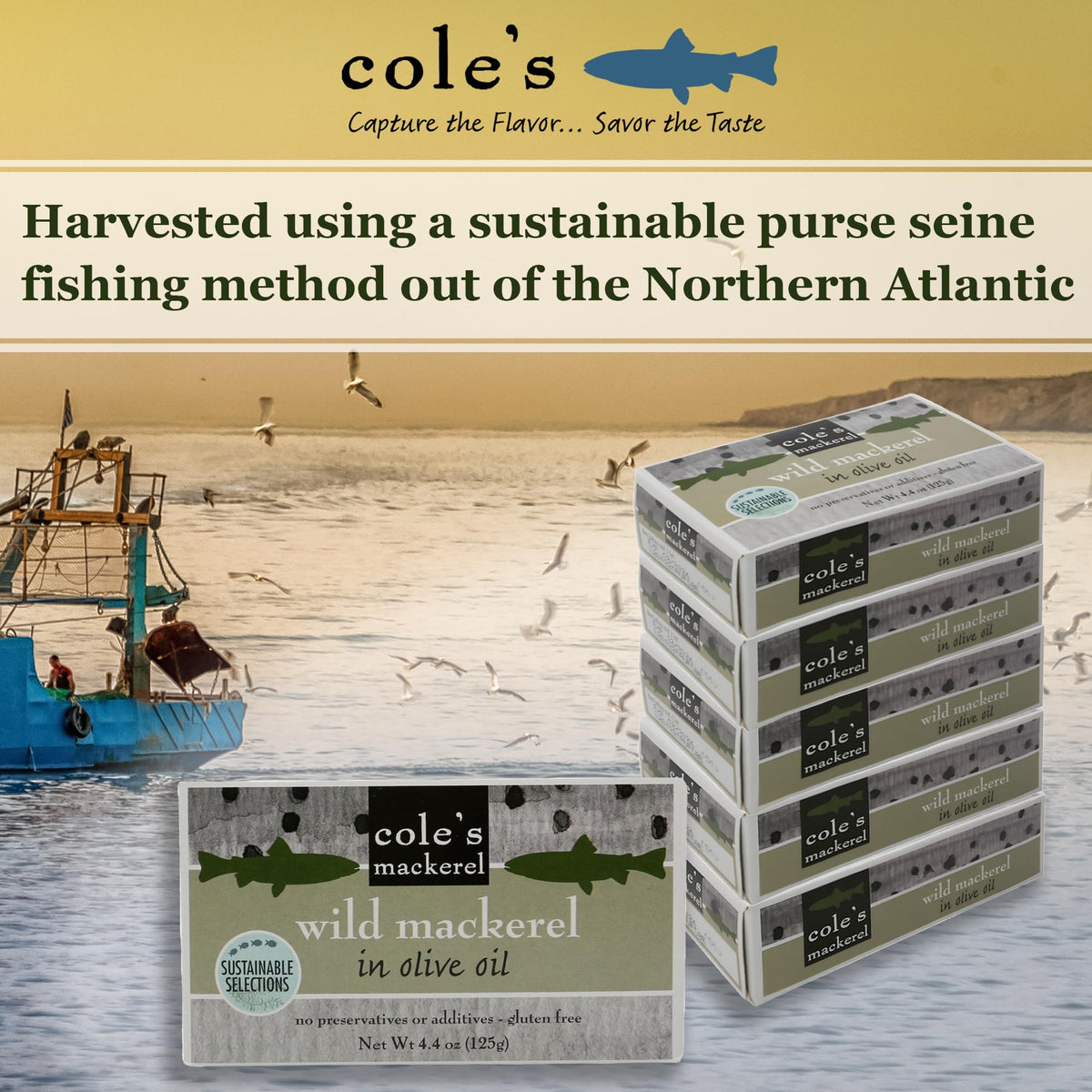 Cole's Pack of 5 Wild Mackerel in Olive Oil – Gluten Free, Skinless & Boneless