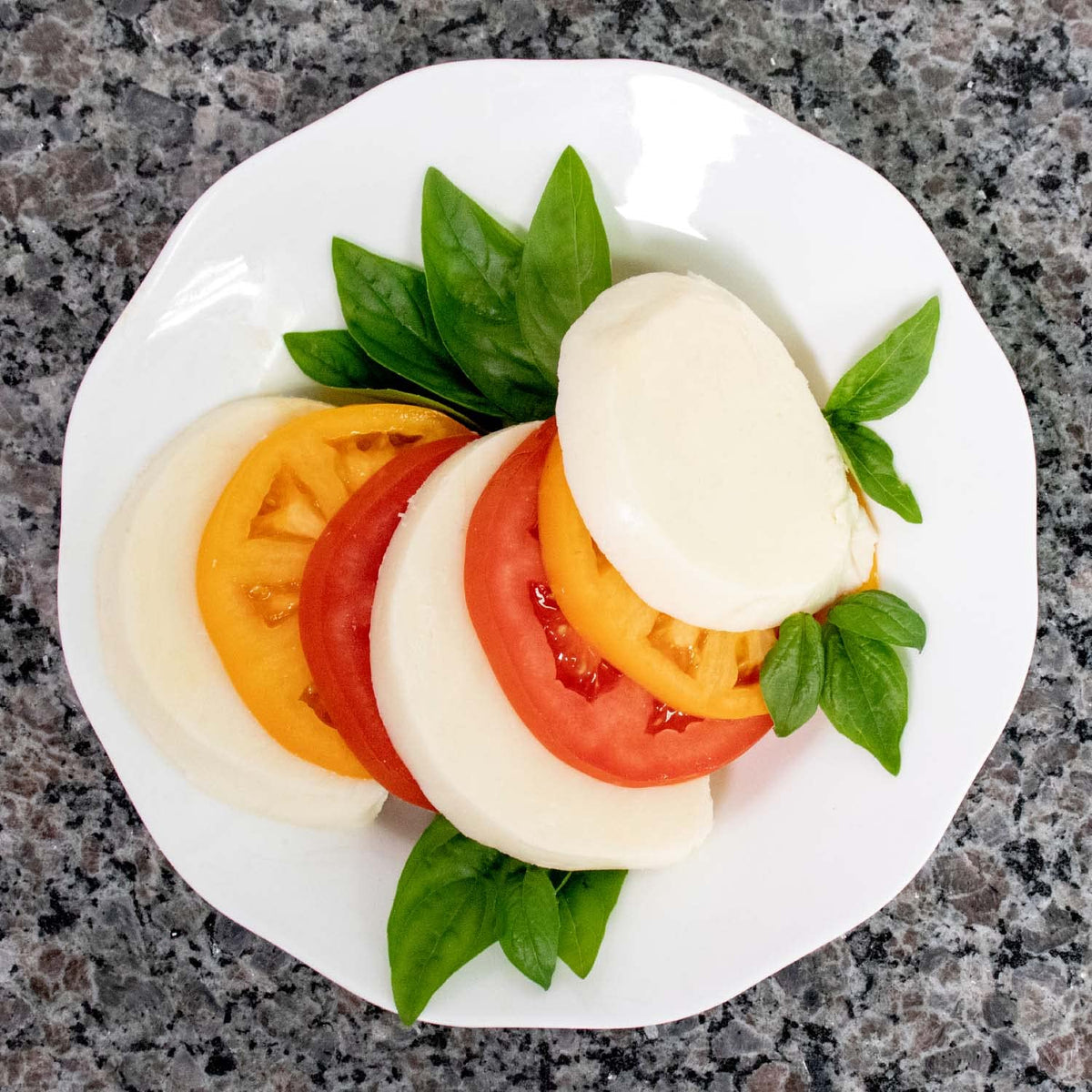 Mozzarella & Ricotta Cheese Making Kit | 5-Piece DIY Set | Cultures For Health