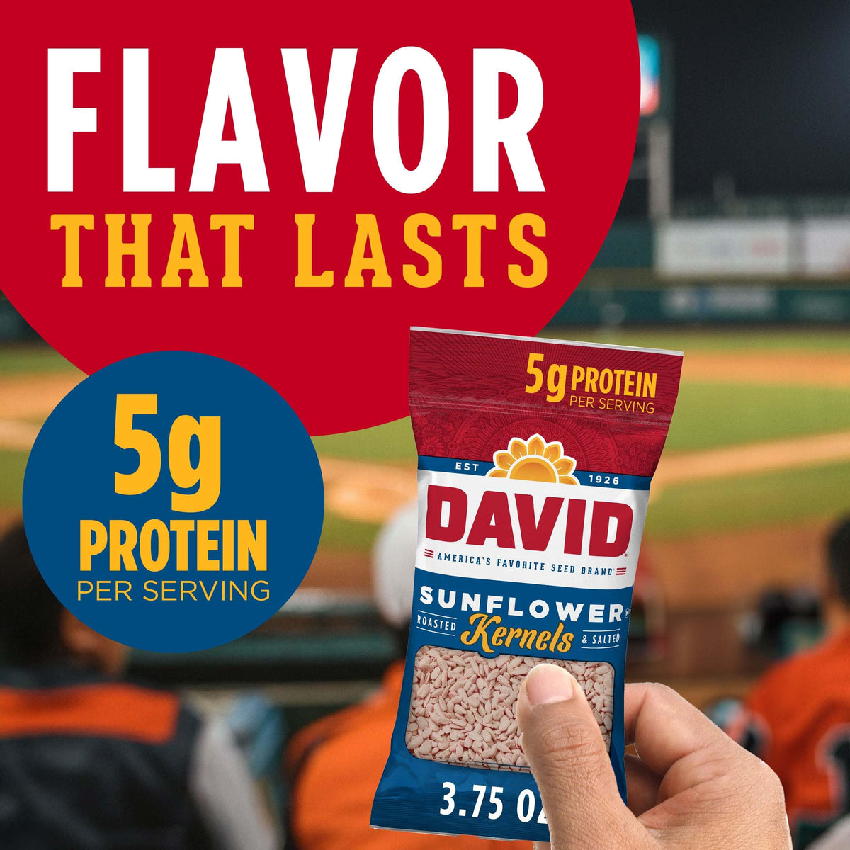 DAVID Original Sunflower Kernels – Pack of 12, 3.75 oz Each | Roasted & Salted