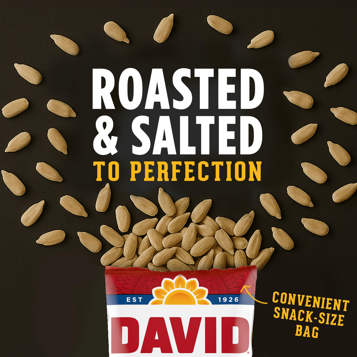 DAVID Original Sunflower Kernels – Pack of 12, 3.75 oz Each | Roasted & Salted