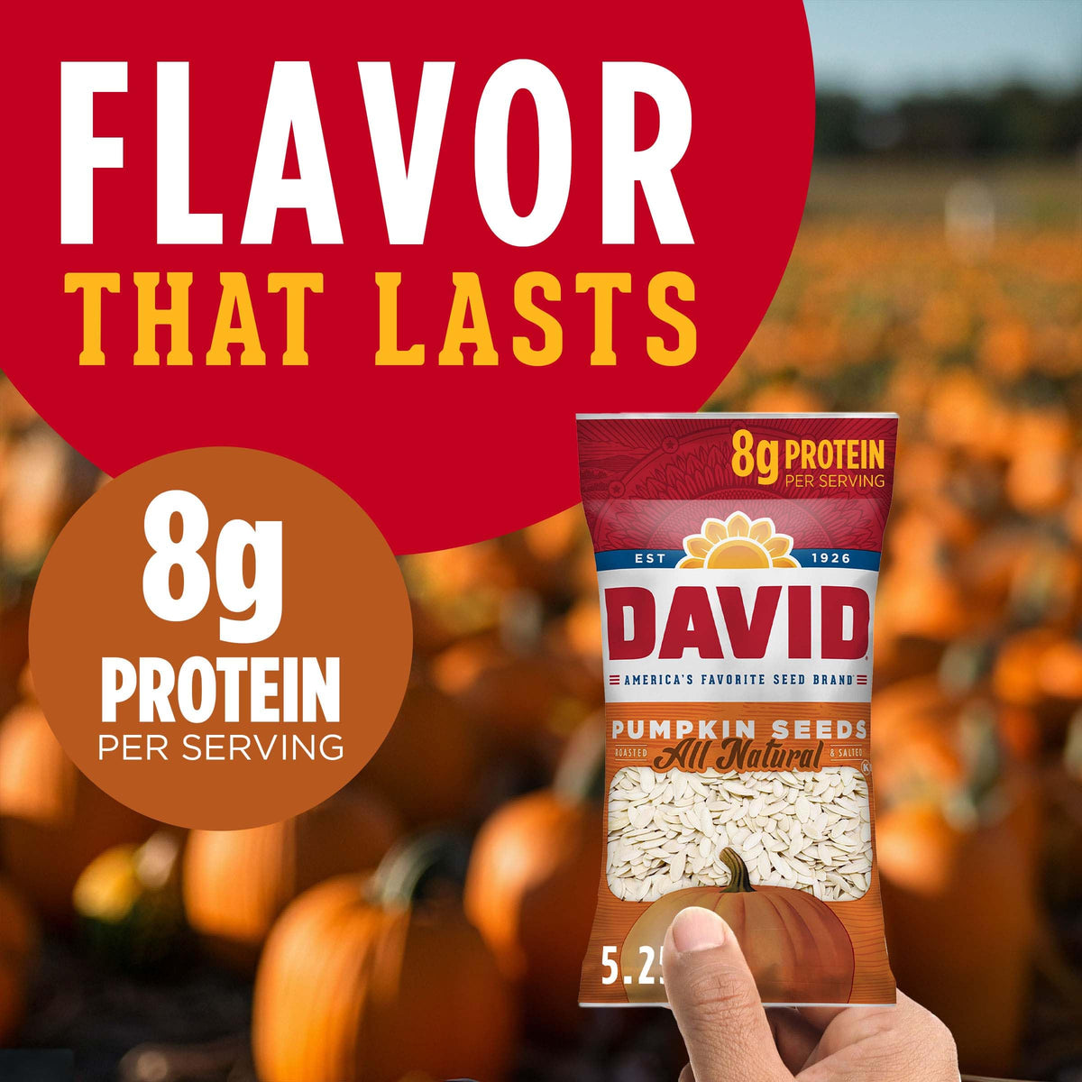DAVID All Natural Pumpkin Seeds – 12 Pack, 2.25 oz Each | Crunchy, Protein-Rich Snack