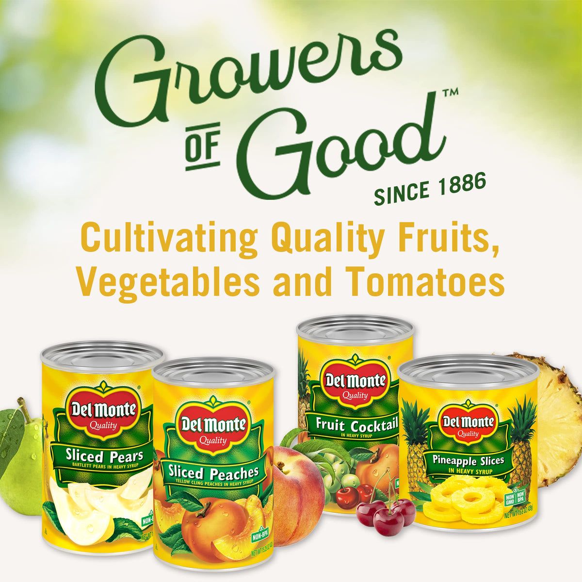 Del Monte No Sugar Added Yellow Cling Sliced Peaches – 6 Pack, 14.5 oz Cans