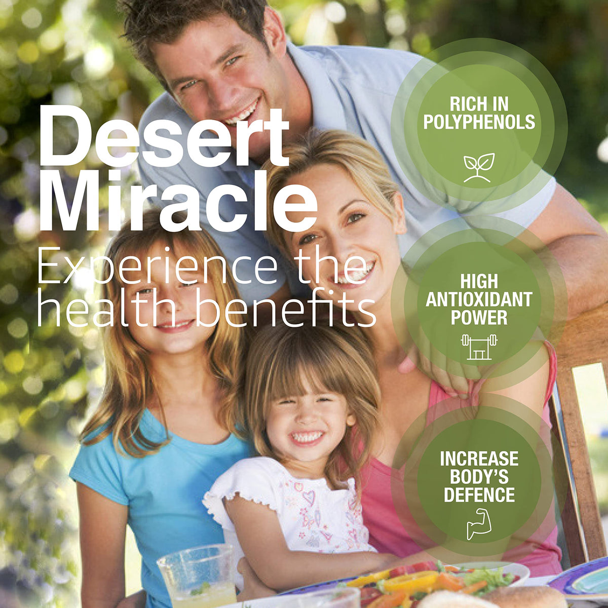 DESERTMIRACLE Cold Pressed Moroccan Olive Oil – High Polyphenol Organic EVOO, 17 oz