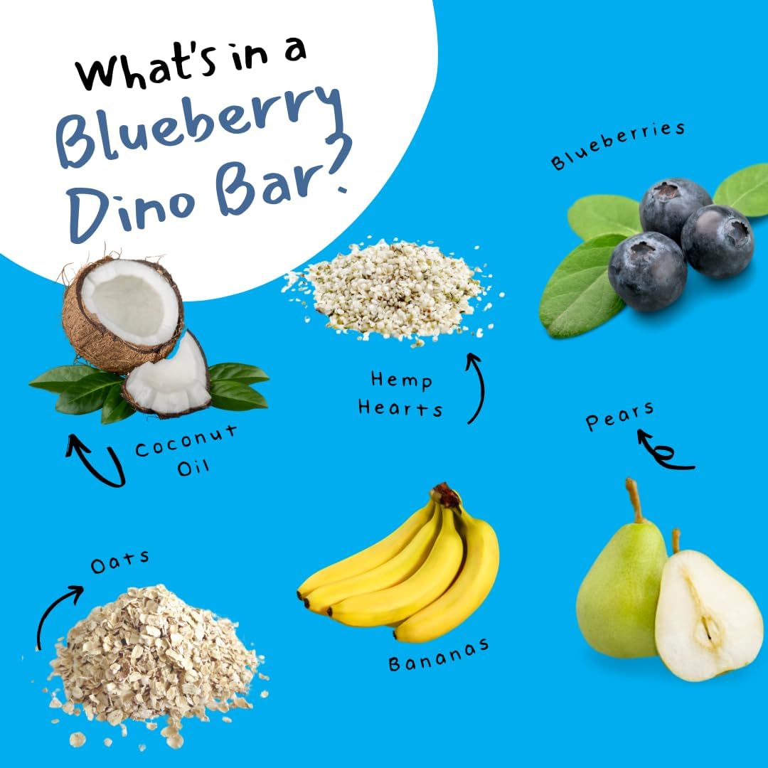Dino Bars | Organic Fruit Bars for Kids – 12-Flavor Pack with Edible Paper