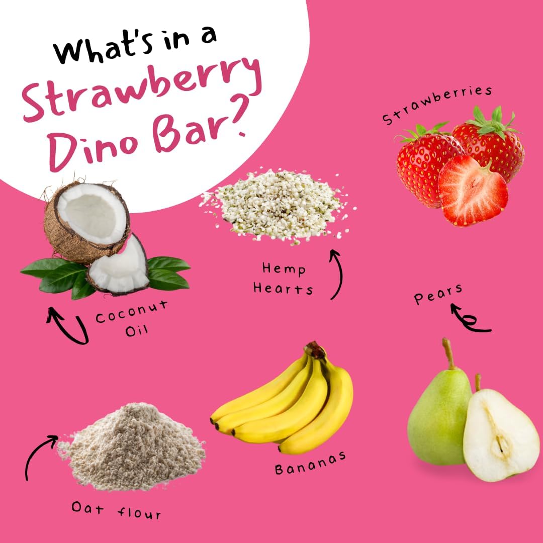 Dino Bars | Organic Fruit Bars for Kids – 12-Flavor Pack with Edible Paper
