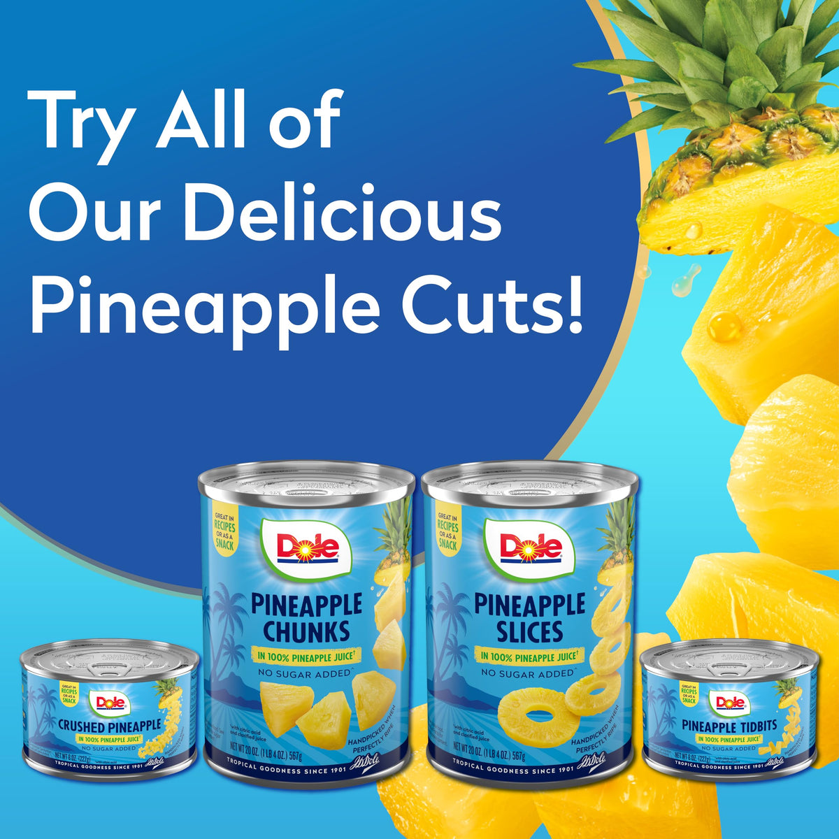 Dole Pineapple Chunks in 100% Pineapple Juice – No Sugar Added, 20 oz Cans, 12-Pack