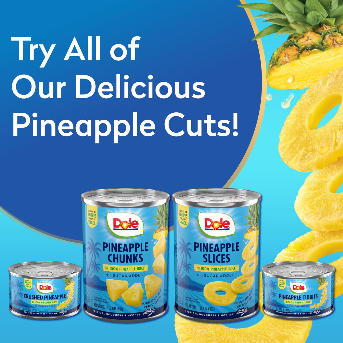 Dole Pineapple Slices in 100% Pineapple Juice, No Added Sugar — 20 oz Cans, 12 Pack