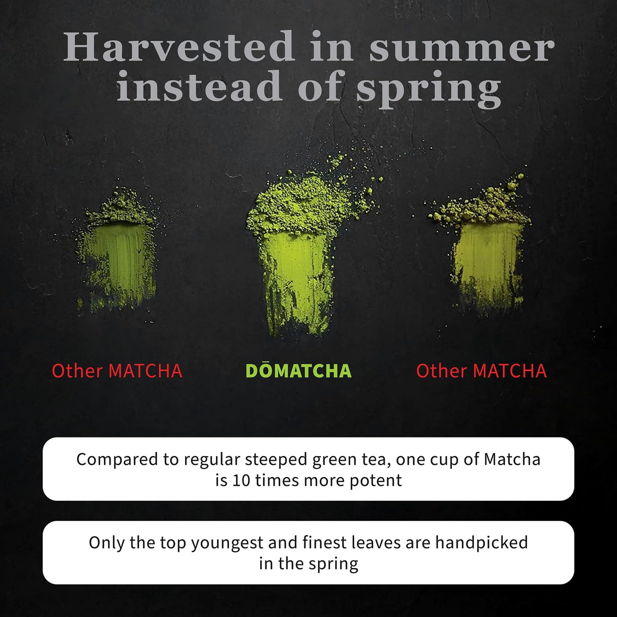 DoMatcha Organic Ceremonial Matcha Powder – Authentic Japanese Green Tea, 25 Servings (1 oz)