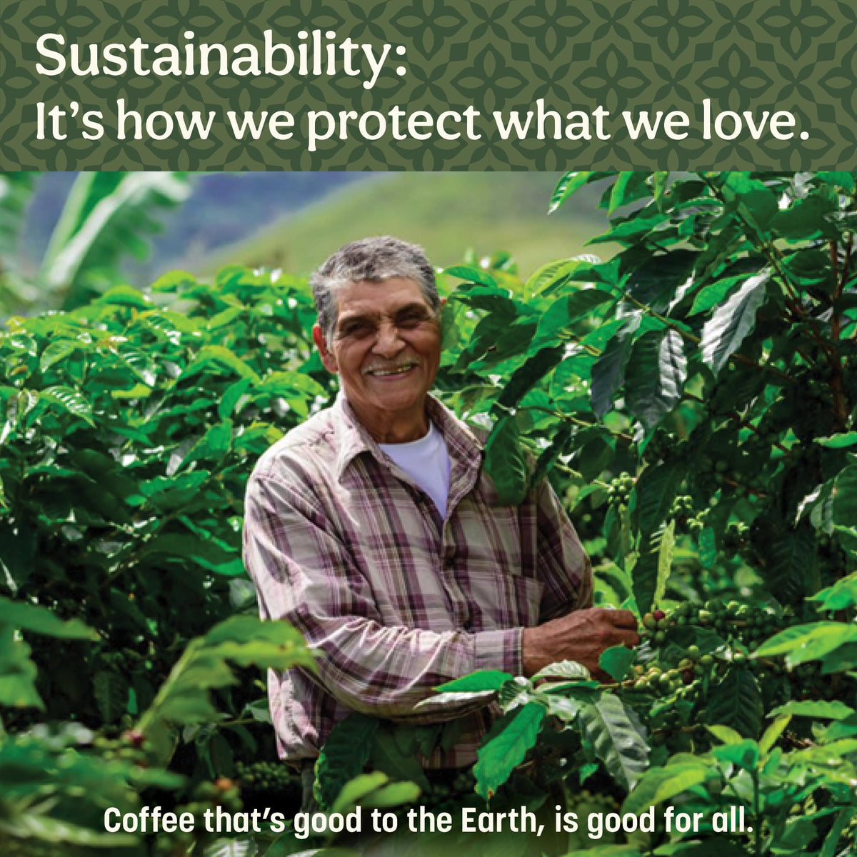 Don Francisco's Hawaiian Hazelnut Ground Coffee – 100% Arabica, Medium Roast, 3 x 10 oz Cans