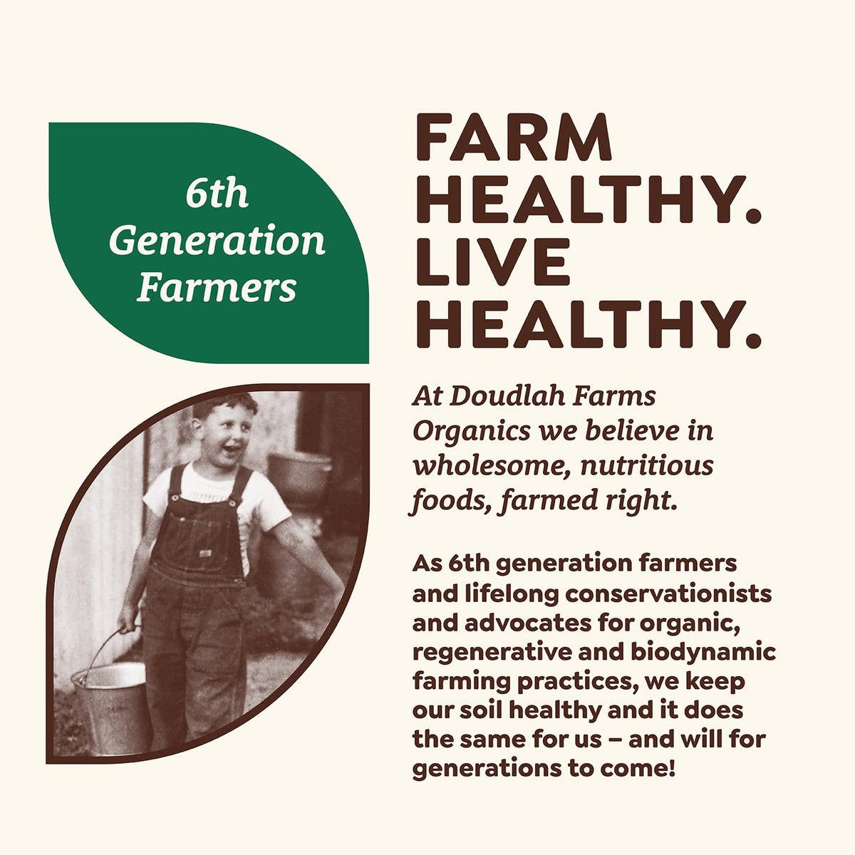 Doudlah Farms Organic White Popcorn Kernels (Unpopped) 3 lb – Non-GMO, Glyphosate-Free, Wisconsin-Grown