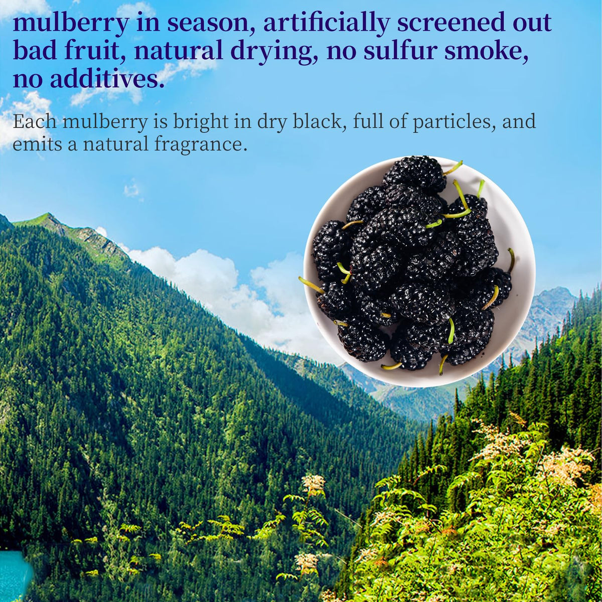 DOZO Premium Dried Black Mulberries – No Sugar Added, 280g | Dried Fruit Snack