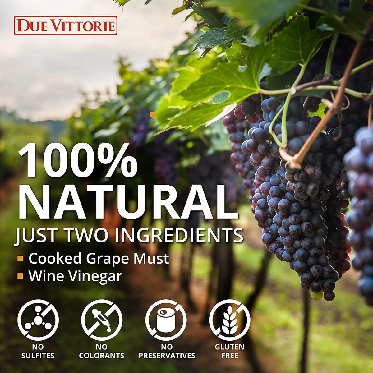Due Vittorie Oro Gold Barrel-Aged Balsamic Vinegar IGP – 2-Pack with Pourer