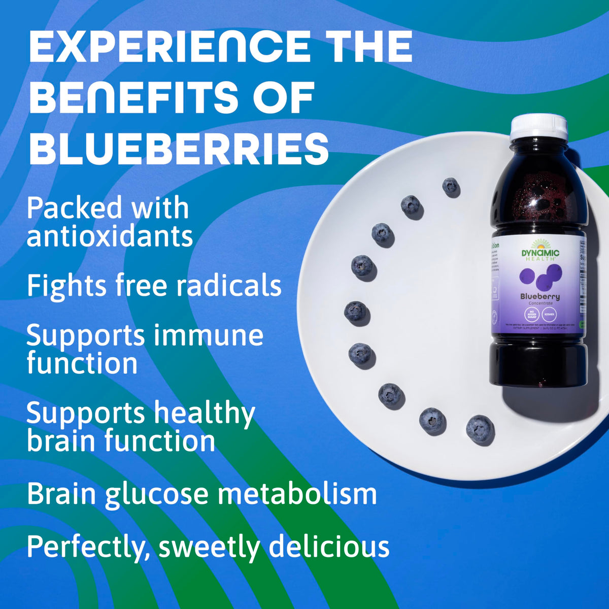 Dynamic Health Blueberry Concentrate – 100% Pure, Unsweetened, 16 fl oz | Brain Function & Antioxidant Support
